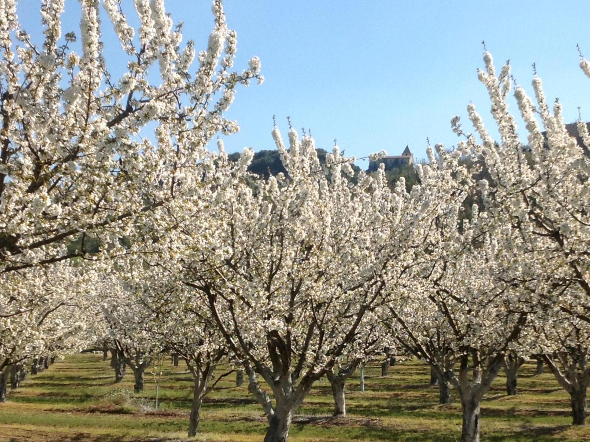 Villa Bellegarde Saignon Eksteriør bilde